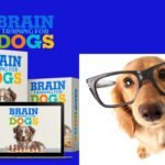 Brain Training for Dogs Reviews